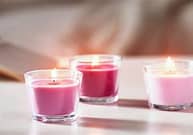 Kim Charland Maine Obituary Death - NEWS CENTER Maine Employee Passed Away